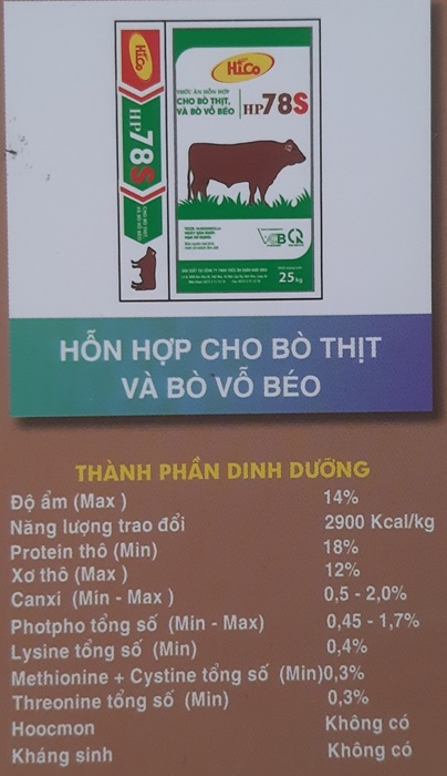 Hỗn hợp cho bò thịt và bò vỗ béo